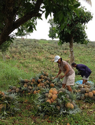 One Fine Sunday Morning&nbsp;Run